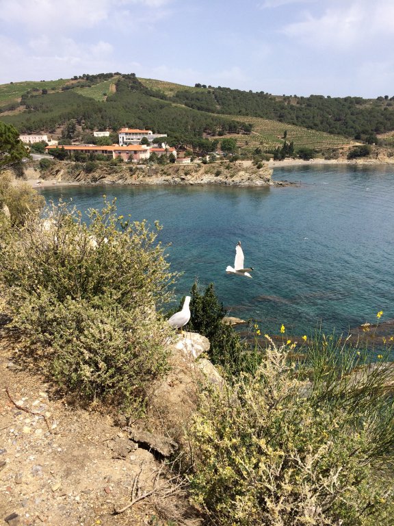 003_paysage_(1)