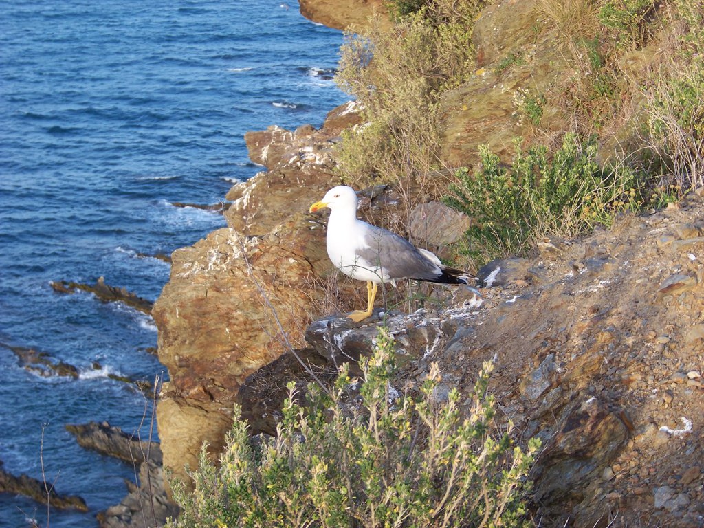 003_paysage_(2)