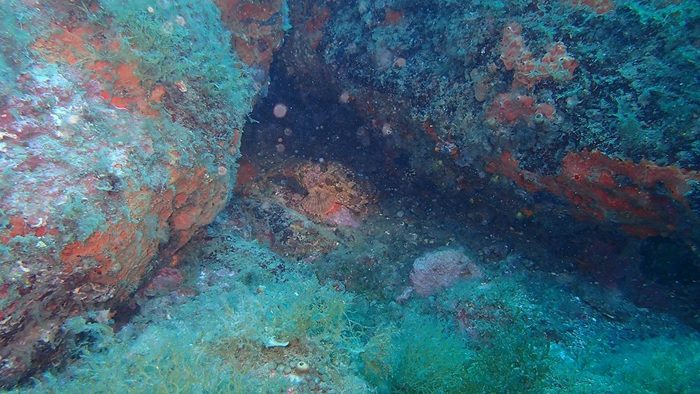 P6130654