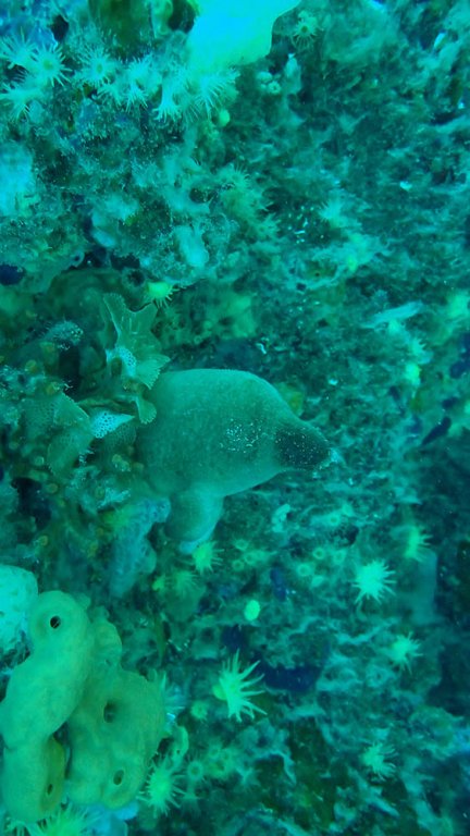 P6130661