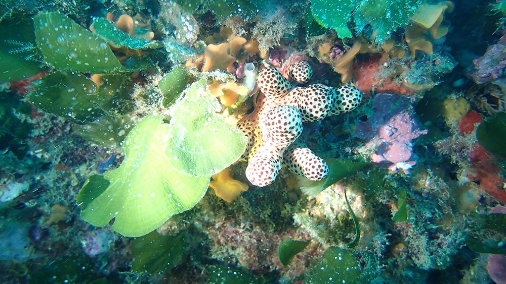 P6130666