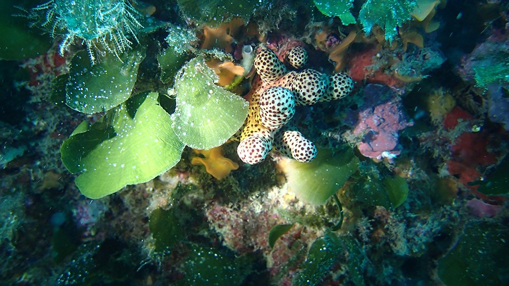 P6130667