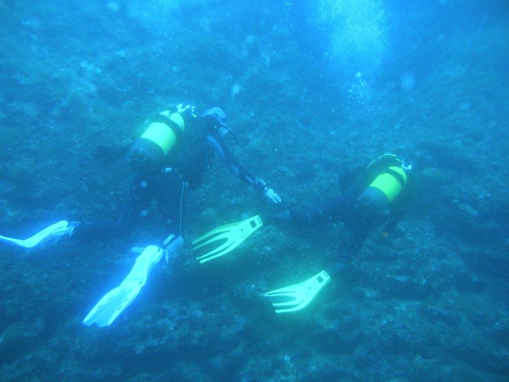 DSCN3093