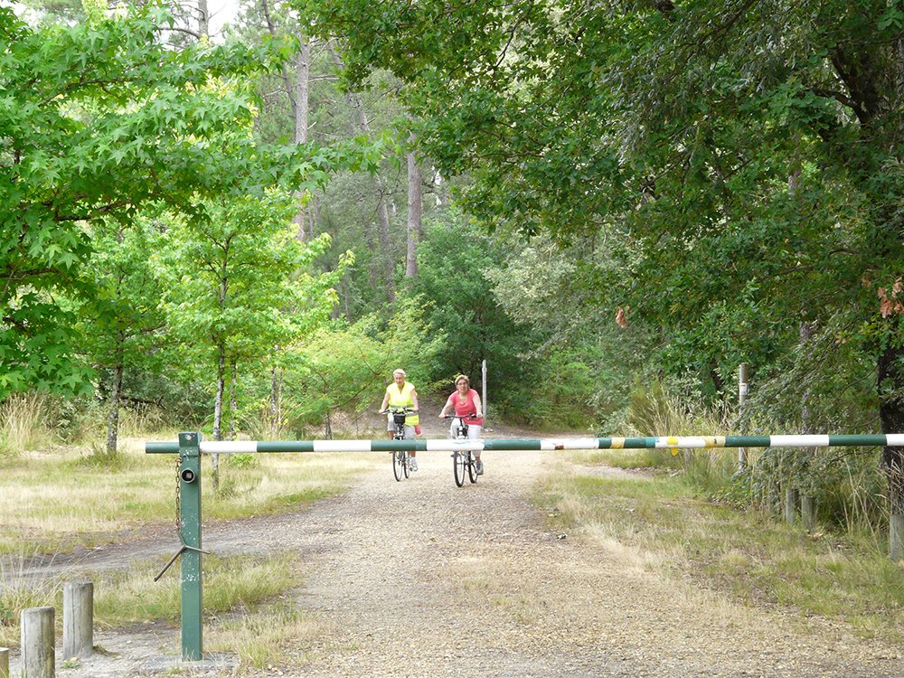 01_vtt_(48)