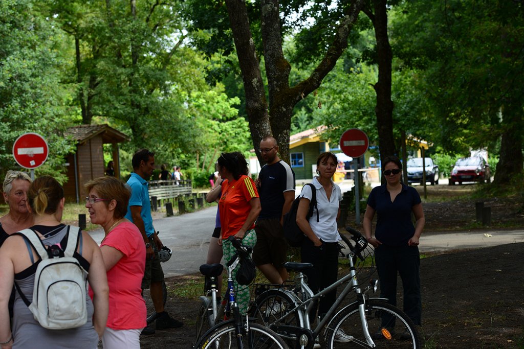 01_vtt_(5)