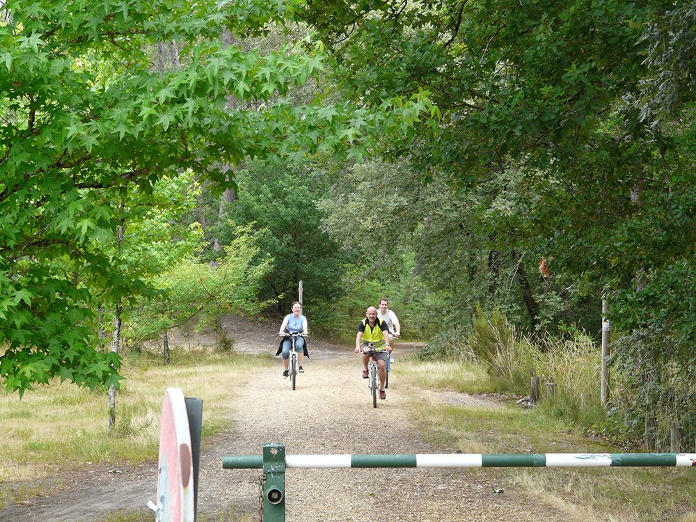 01_vtt_(50)