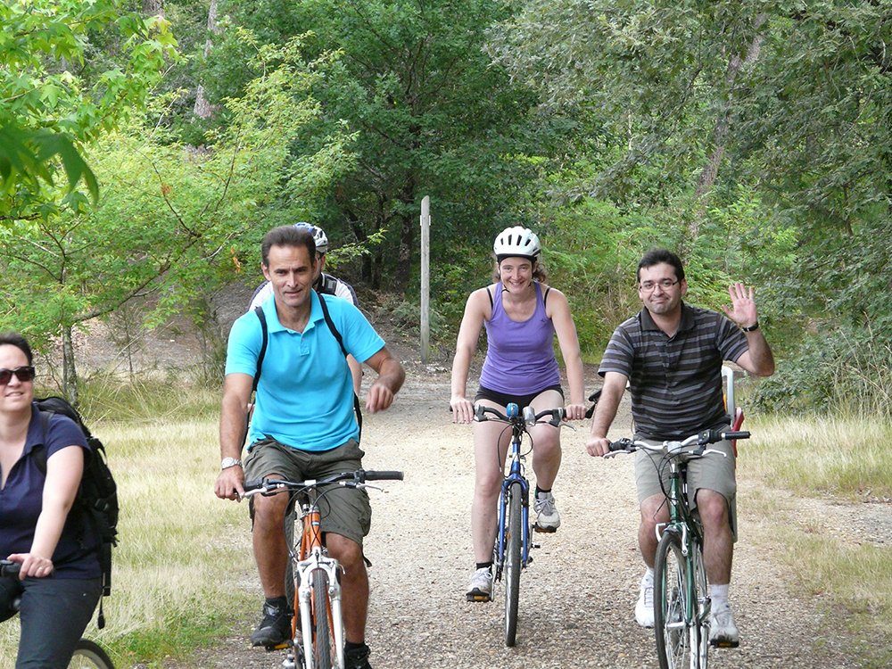 01_vtt_(56)