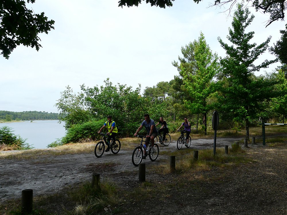 01_vtt_(60)