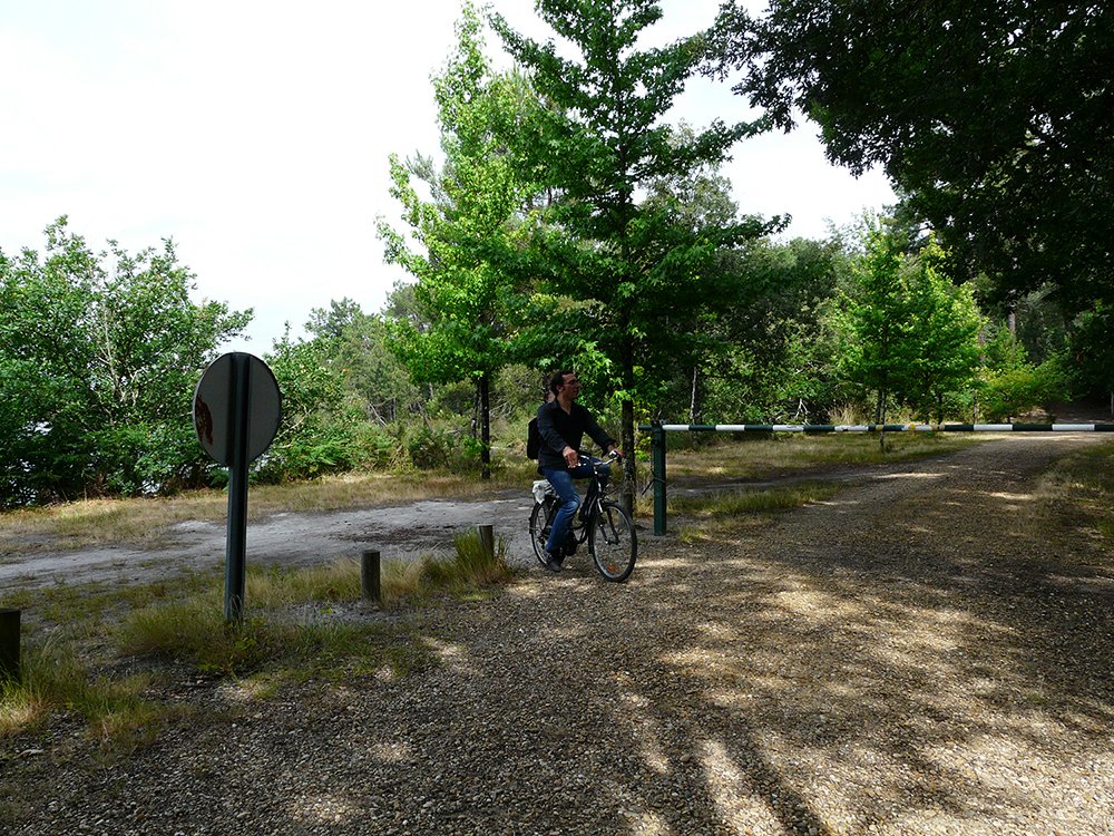 01_vtt_(64)