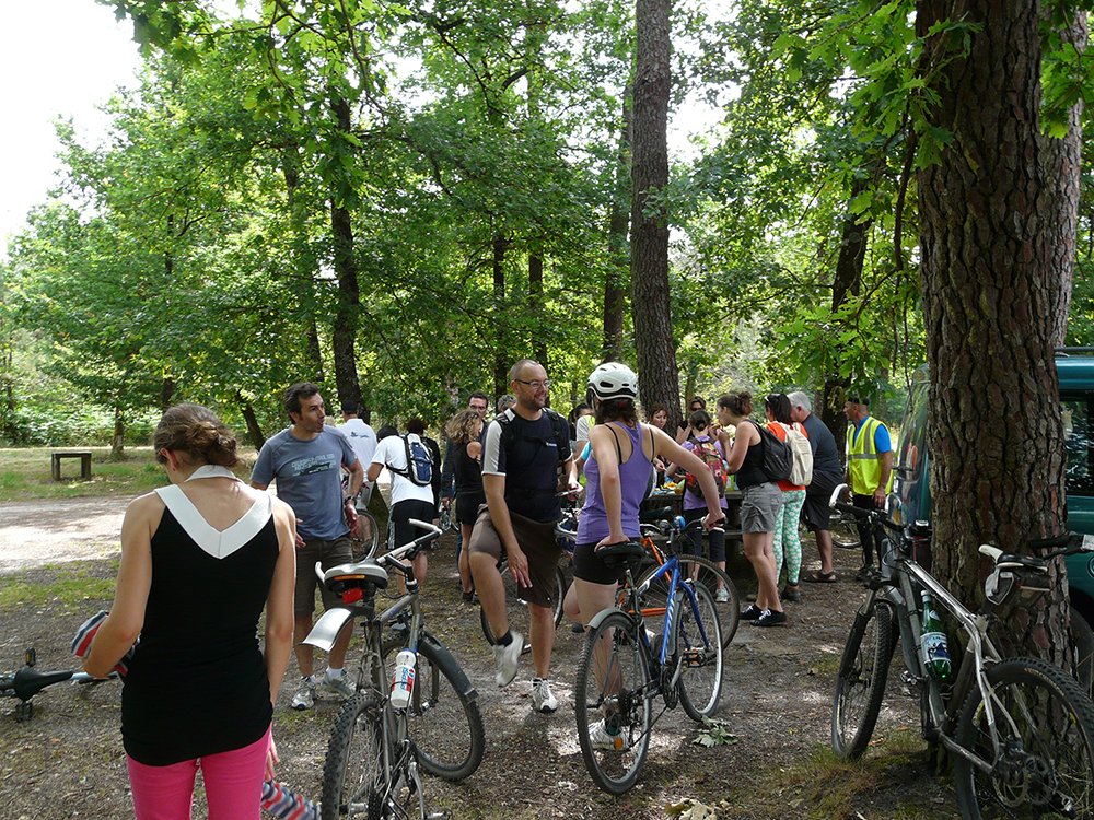 01_vtt_(65)