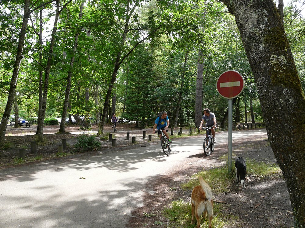 01_vtt_(87)