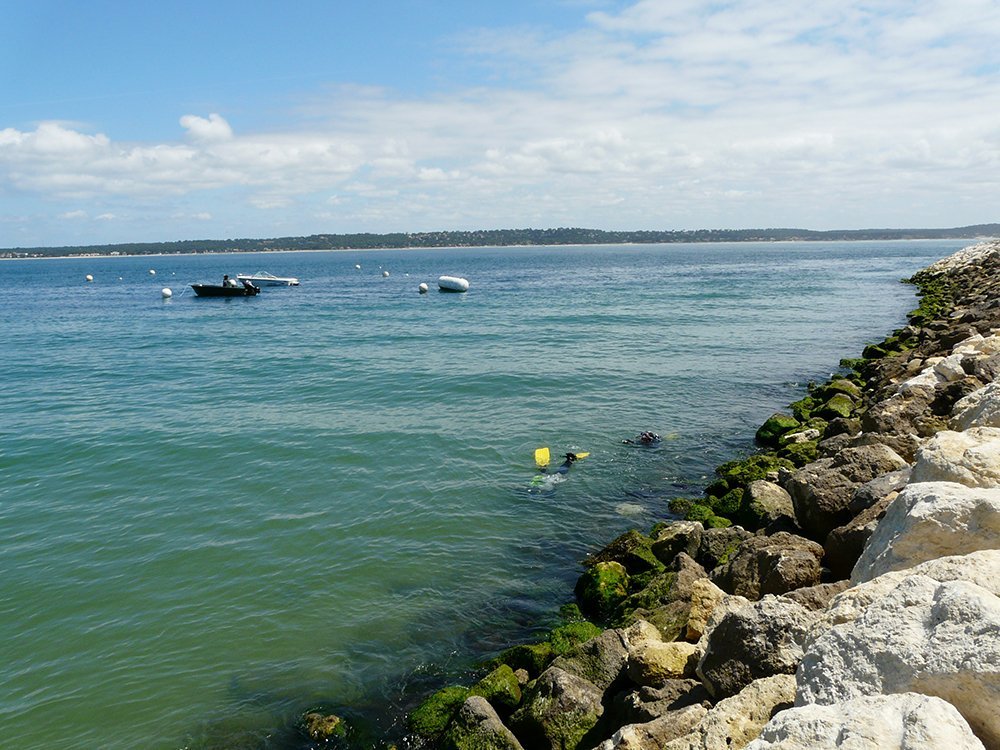 p1140086-jpg