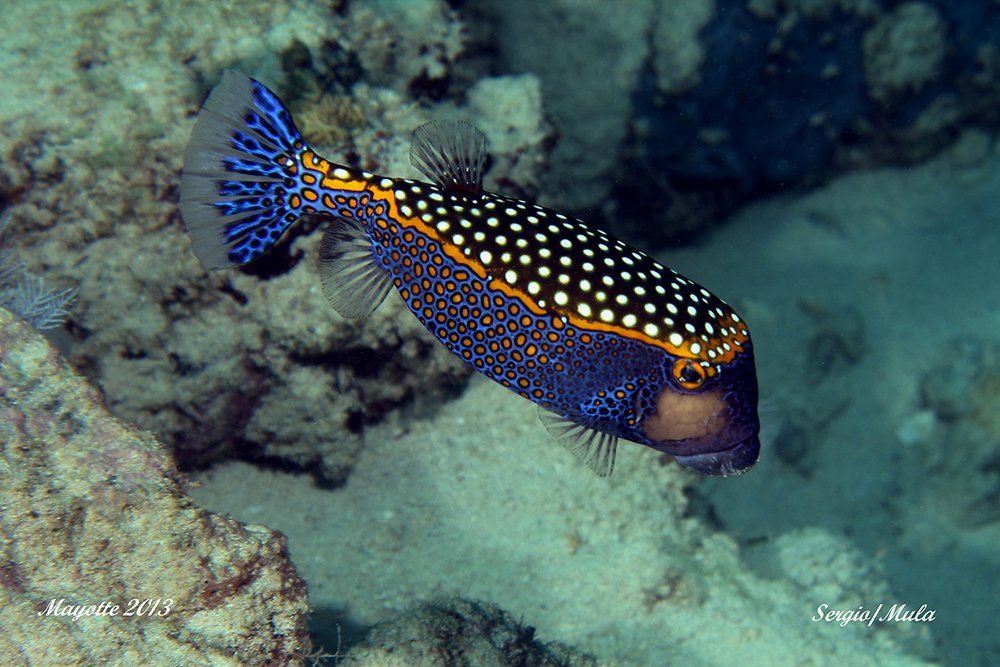 mayotte_3-jpg