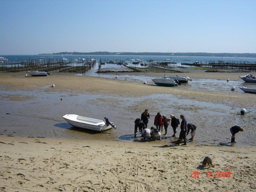 41-jpg