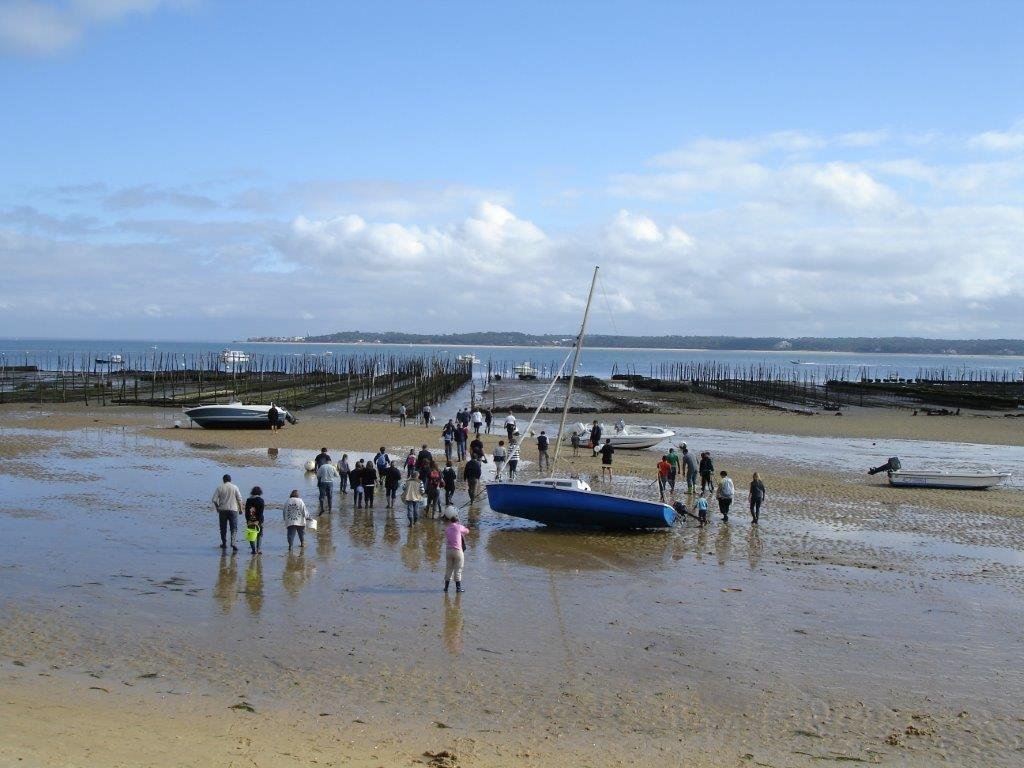 5-jpg