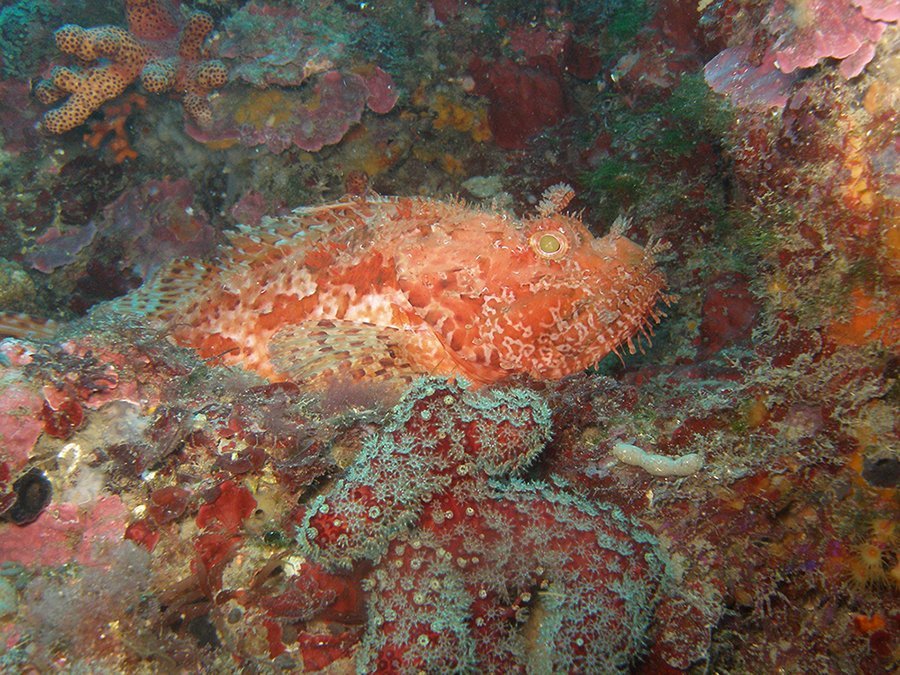 p5270110-jpg